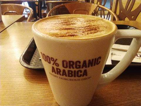 SOHO Coffee Co. photo